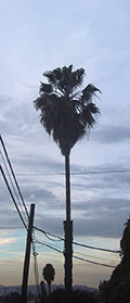 Los Angeles